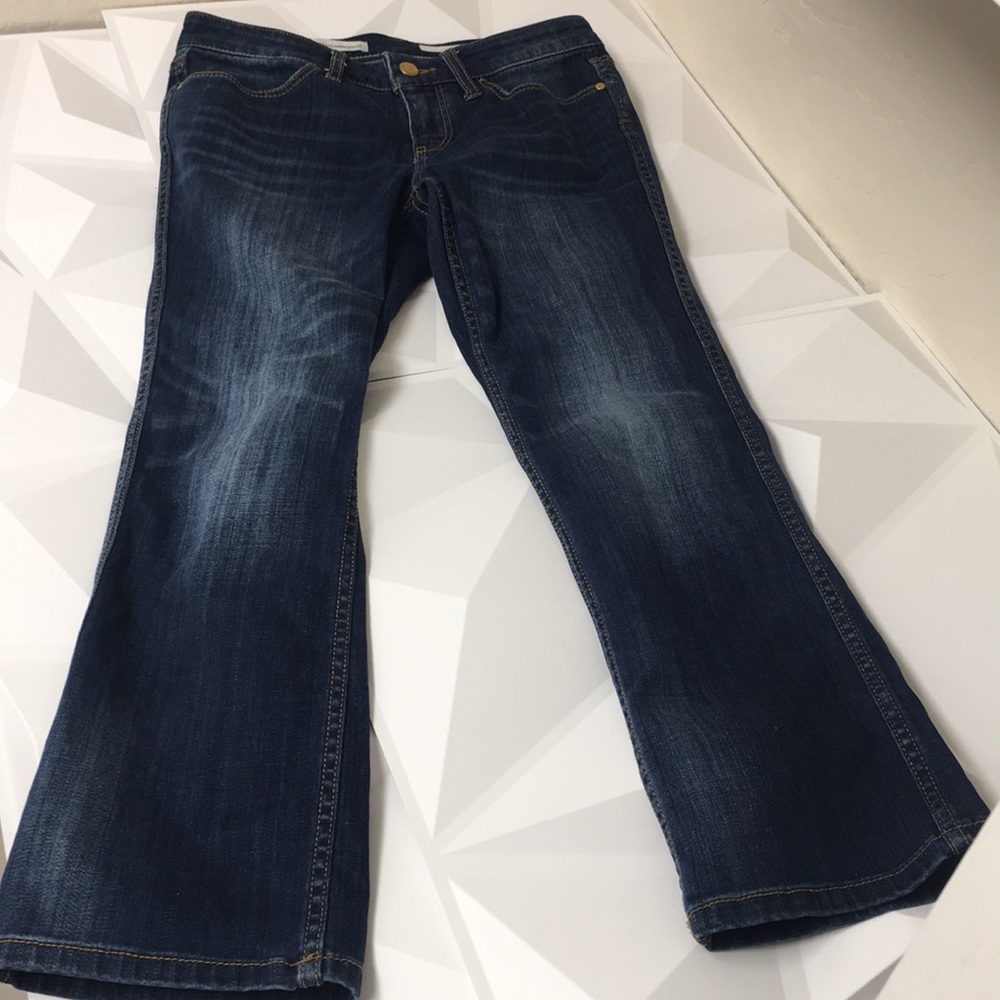 Anthropologie Pilcro and the Letterpress jeans